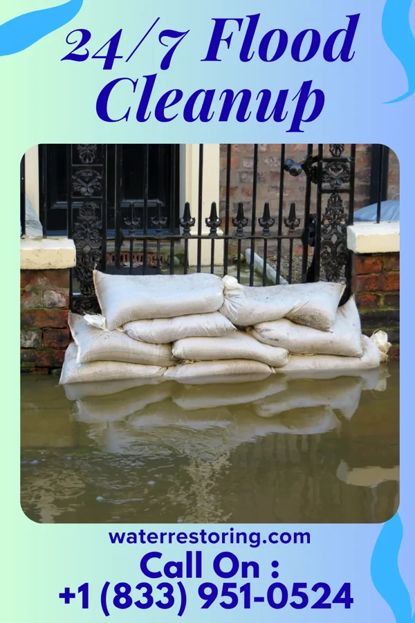 24/7 Flood Cleanup in Independence, MN
