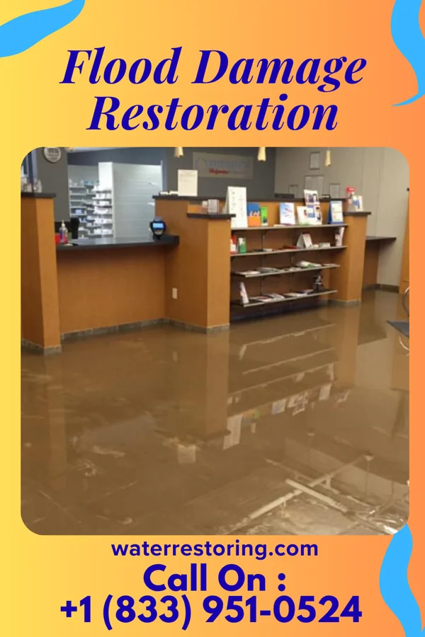 Flood Damage Restoration in Independence, MN